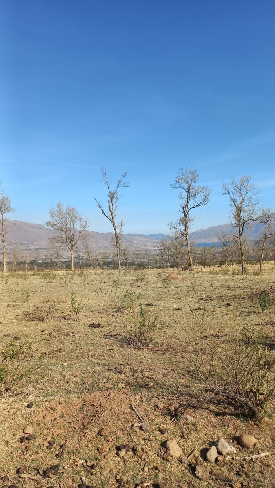 TERRENO EN DONOSA CLUB DE CAMPO - TAFI DEL VALLE