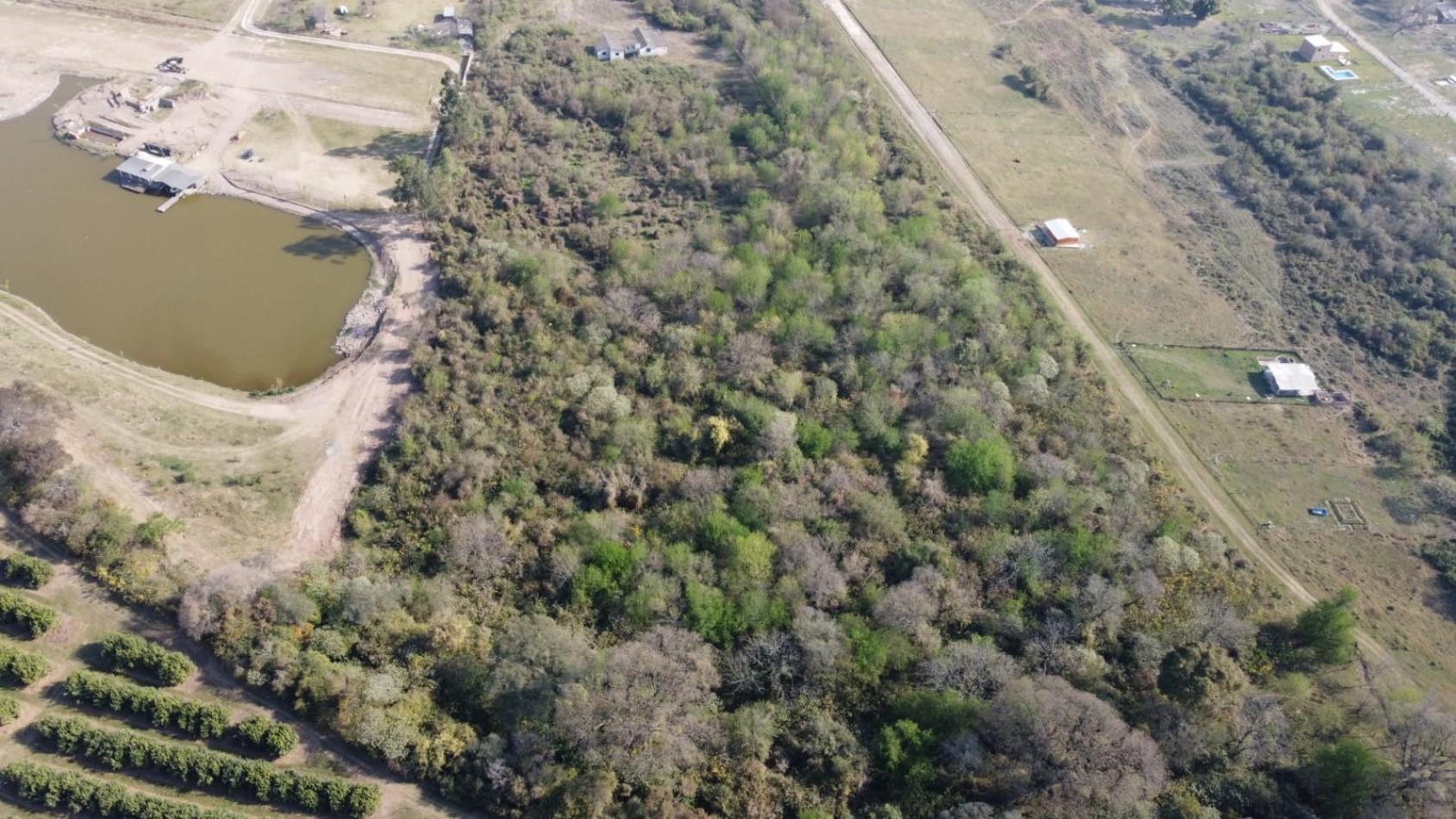 TERRENO DE 5 HECTAREAS CON UNA CASA EN EL CADILLAL