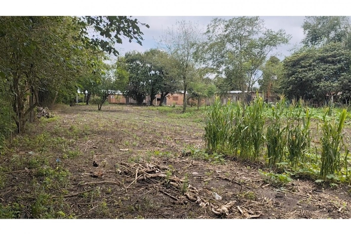 15.000 m2 en venta - Tafi viejo 