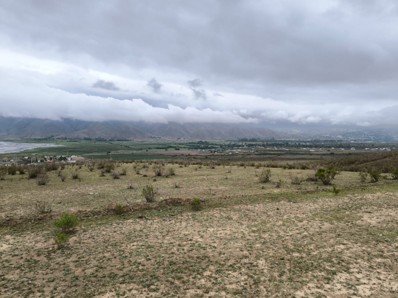 TERRENO DE 1000m2 EN TAFI DEL VALLE - BARRIO LOS ALISOS