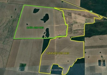 1450 HECTAREAS EN SANTIAGO DEL ESTERO 