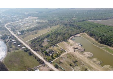 TERRENO DE 5 HECTAREAS CON UNA CASA EN EL CADILLAL