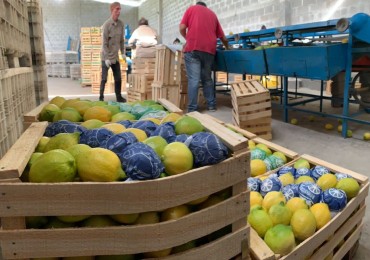Alquiler Finca Productiva Famailla 